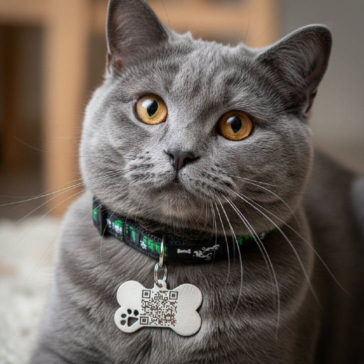 Cats Fabric QR code collar