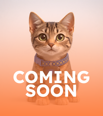 Cats Tracking Device Collar