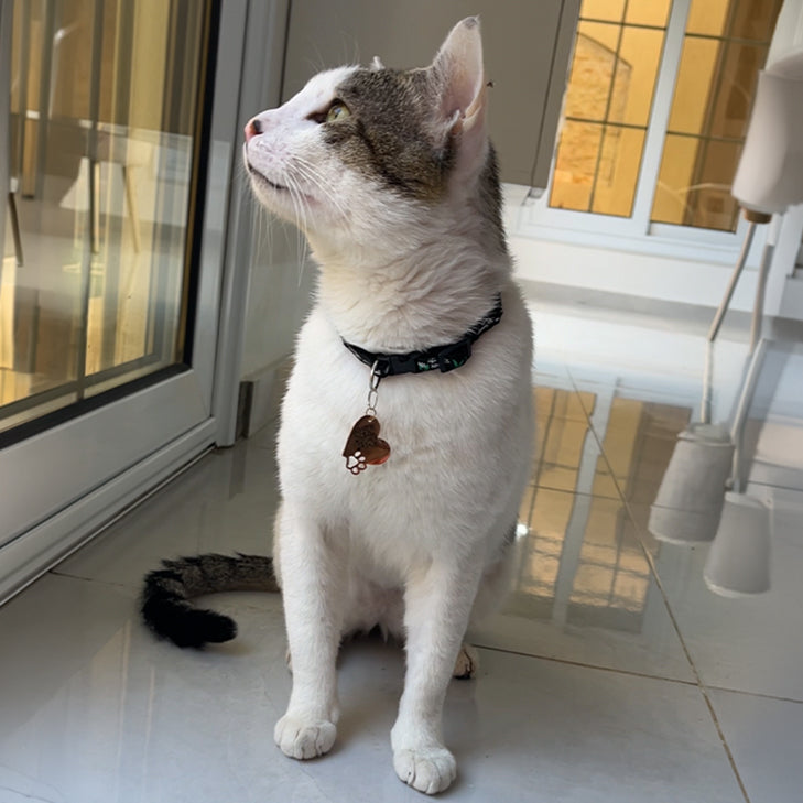 Cats Fabric QR code collar